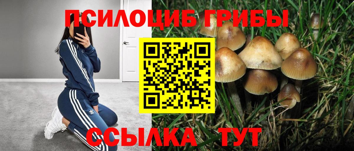 Галлюциногенные грибы мицелий Родники